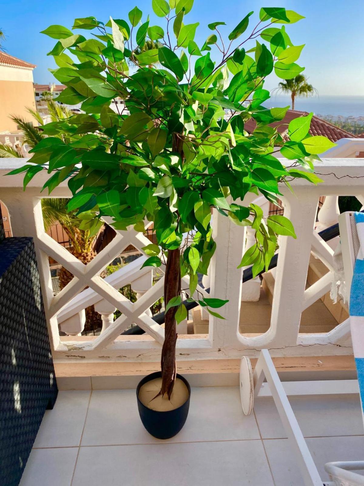 Passione Beautiful Apartment With Sea View Costa Adeje  Bagian luar foto